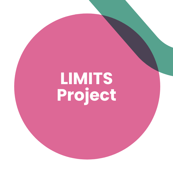 Limits Project